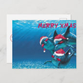 Dolphin Weihnachtsmannmütze Weihnachten Postkarte (Vorne/Hinten)