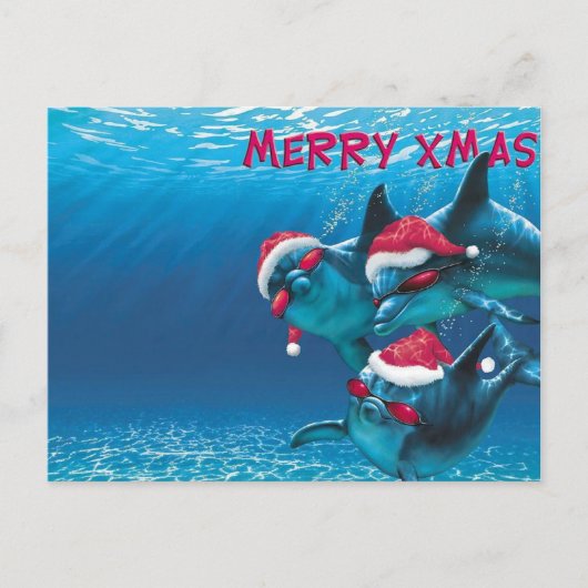 Dolphin Weihnachtsmannmütze Weihnachten Postkarte (Vorderseite)