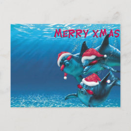 Dolphin Weihnachtsmannmütze Weihnachten Postkarte