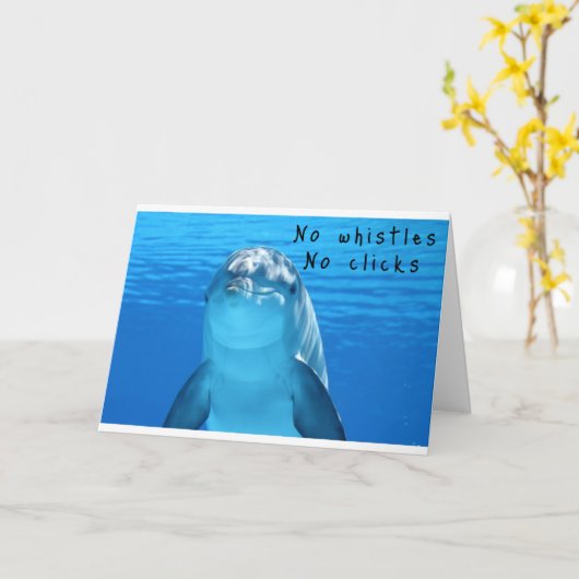 DOLPHIN WIRD "SPRECHEN" AM "GEBURTSTAG" KARTE (Gelbe Blume)