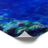 Dolphin World "WIND AUF DEM WASSER" Poster (Ecke)