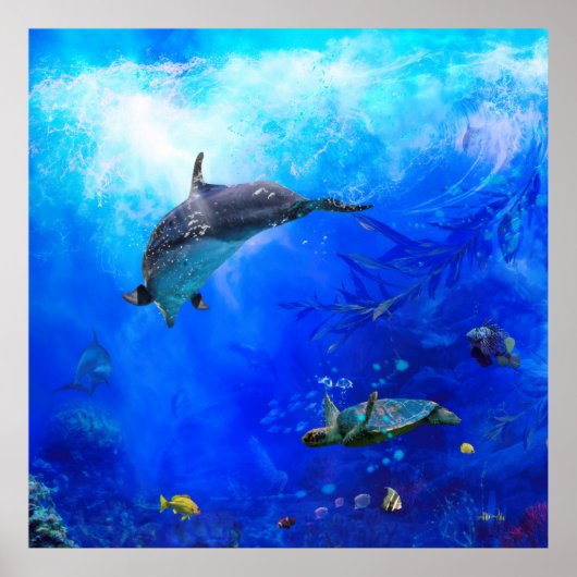 Dolphin World "WIND AUF DEM WASSER" Poster (Vorne)