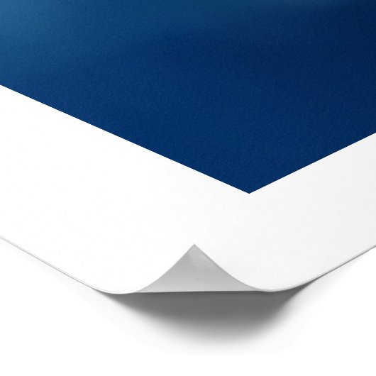 DOLPHIN WORLDRUCK POSTER (Ecke)