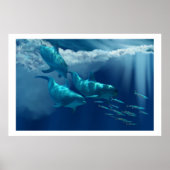DOLPHIN WORLDRUCK POSTER (Vorne)