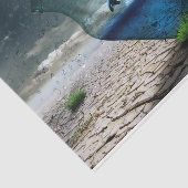 Dolphin-Wüstendekoupage-Tissue Seidenpapier (Ausschnitt)