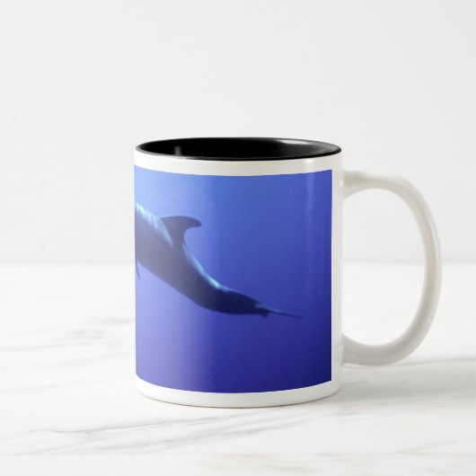 Dolphin Zweifarbige Tasse (Rechts)
