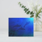DOLPHINEN UNTERWASSER POSTKARTE (Stehend Vorderseite)