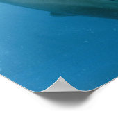 Dolphins Kiss Poster (Ecke)