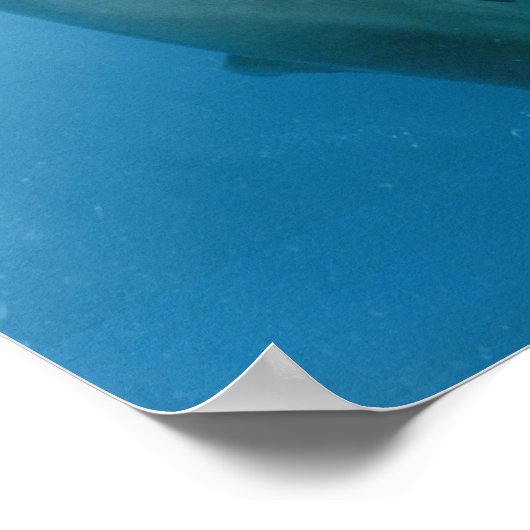 Dolphins Kiss Poster (Ecke)