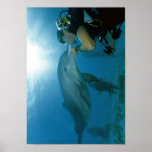 Dolphins Kiss Poster (Vorne)