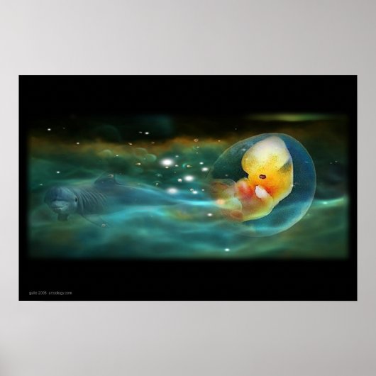DOLPHINS MIND POSTER (Vorne)