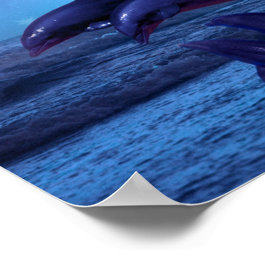 Dolphins playing in the ocean poster (Ecke)