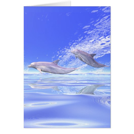 Dolphins Racing (Vorne)