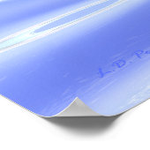 Dolphins Racing Poster (Ecke)