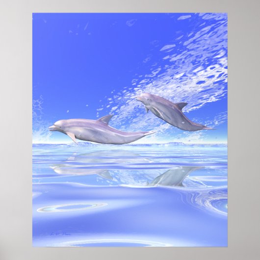 Dolphins Racing Poster (Vorne)
