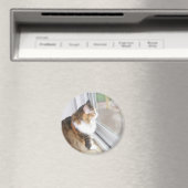 Dolthe Cat Looking out Window Magnet (In Situ (Geschirrspüler))