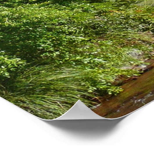 Dom Rock and Stream in Sedona Arizona Poster (Ecke)