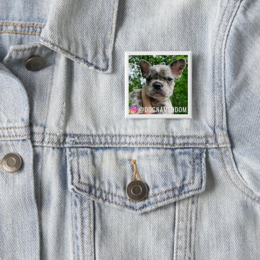 DOM THE DOG INSTAGRAM BUTTON (Beispiel)