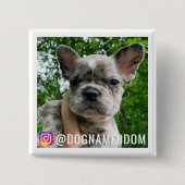 DOM THE DOG INSTAGRAM BUTTON (Vorderseite)