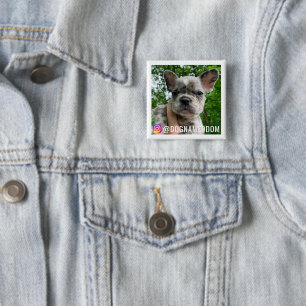 DOM THE DOG INSTAGRAM BUTTON