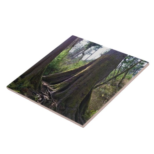 Dombaum, Astoria, Oregon Fliese (Seite)