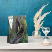 Dombaum, Astoria, Oregon Fotoplatte (Seite)