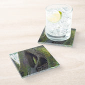 Dombaum, Astoria, Oregon Glasuntersetzer (Schrägansicht)