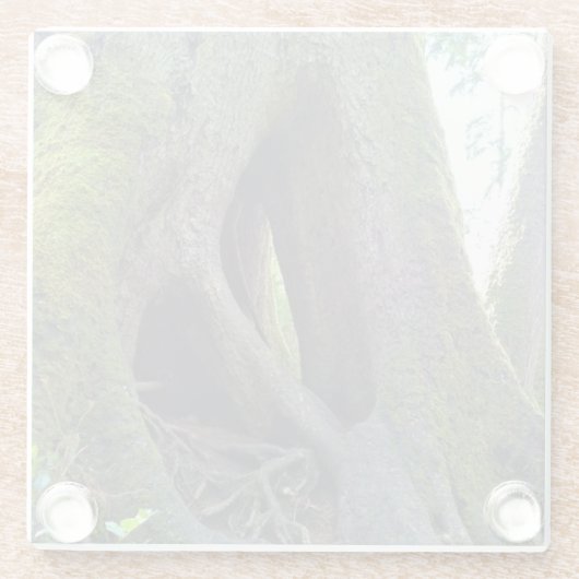 Dombaum, Astoria, Oregon Glasuntersetzer (Rückseite)