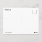 Dombaum, Astoria, Oregon Postkarte (Rückseite)