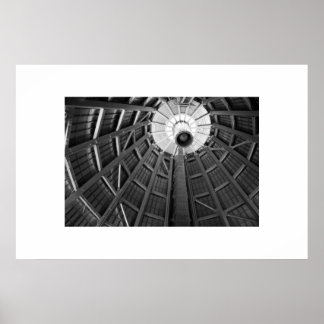 Dome Bones B&W Poster