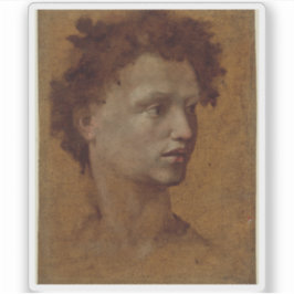 Domenico Beccafumi - Leiter einer Jugendorganisati Aufkleber