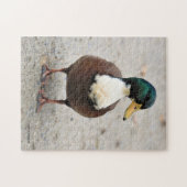 Domestic Mallard Duclair Bibbed Odd Duck Puzzle (Horizontal)