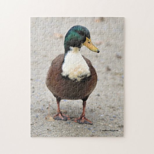 Domestic Mallard Duclair Bibbed Odd Duck Puzzle (Vertikal)