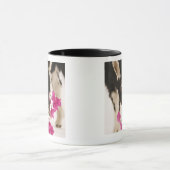 Domestizierte britische alpine Ziege (Kind). Tasse (Zentrum)