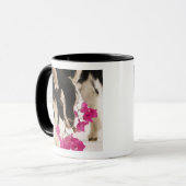 Domestizierte britische alpine Ziege (Kind). Tasse (Vorderseite Links)
