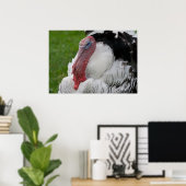 Domestizierte Türkei Poster (Heimbüro)