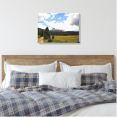 Domgipfel in Tuolumne Meadows, Yosemite, CA Leinwanddruck (Insitu (Schlafzimmer))