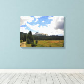 Domgipfel in Tuolumne Meadows, Yosemite, CA Leinwanddruck (Insitu (Holzboden))