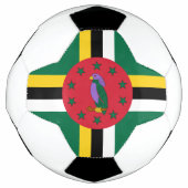 Domica Fußball (Vorderseite)