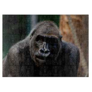 Dominant Primat Gorilla Ape Schneidebrett