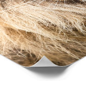 Dominate - Löwe, Erfolg, Unternehmer, Fitness Poster (Ecke)