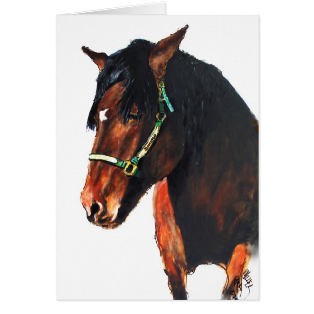 Domingo, von Marin County (Vorne)