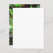 Dominica Emerald Pool Postkarte (Vorne/Hinten)