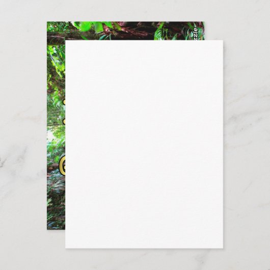 Dominica Emerald Pool Postkarte (Vorne/Hinten)