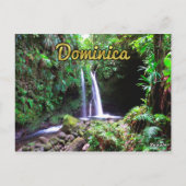 Dominica Emerald Pool Postkarte (Rückseite)