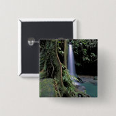 Dominica, Emerald Pool, Wasserfall. Button (Vorne & Hinten)