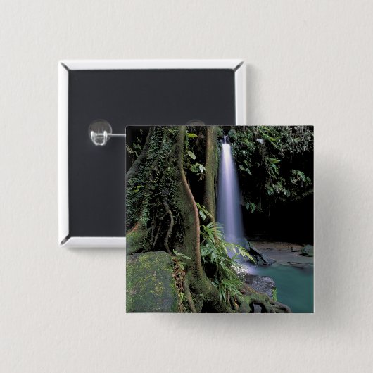 Dominica, Emerald Pool, Wasserfall. Button (Vorne & Hinten)