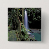 Dominica, Emerald Pool, Wasserfall. Button (Vorderseite)