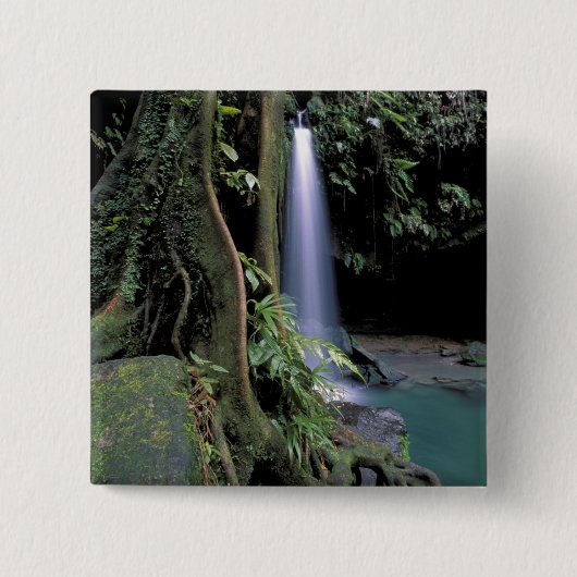 Dominica, Emerald Pool, Wasserfall. Button (Vorderseite)