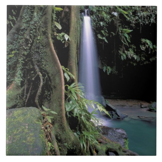 Dominica, Emerald Pool, Wasserfall. Fliese (Vorderseite)